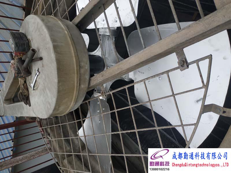 龙泉光明光电良机冷却塔维修保养、水泵维修保养施工现场